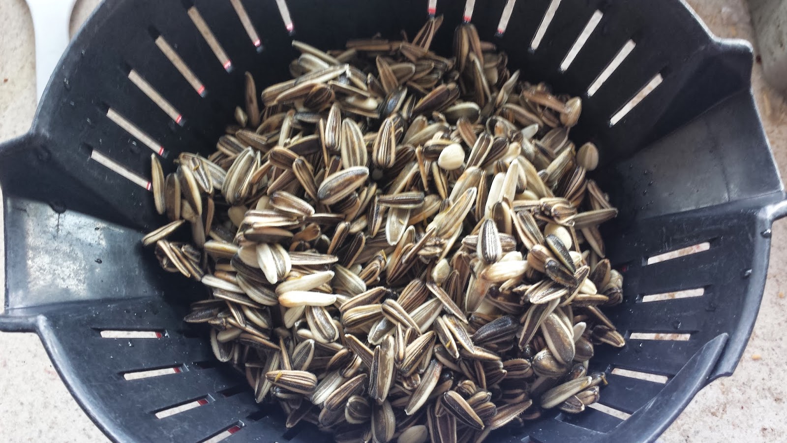 How to Roast Sunflower Seeds